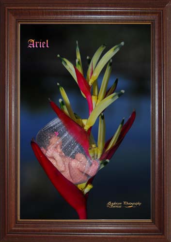 Ariel4f