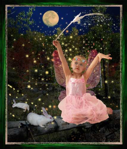 Fairy1c2