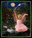 Fairy1c2